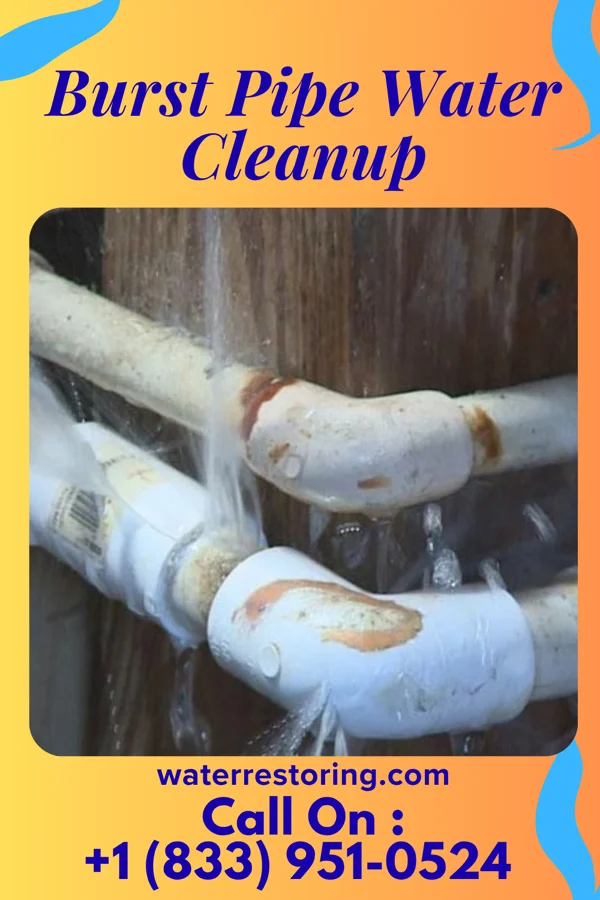 Burst Pipe Water Cleanup in Northbrook, IL