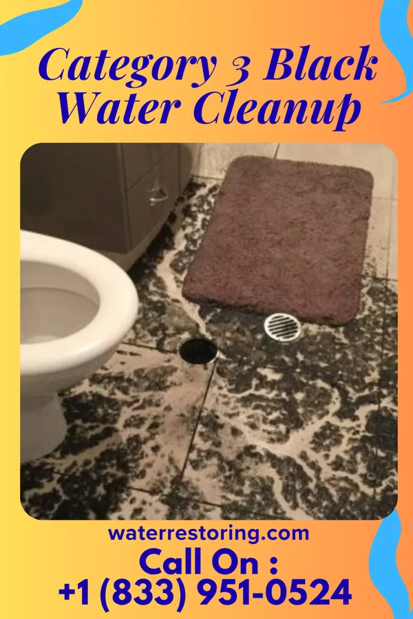 Category 3 Black Water Cleanup in Northbrook, IL